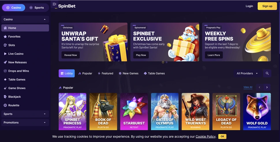 using-the-betroia-casino-website